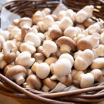 千葉・香取の農産物詰め放題祭り！秋冬の味覚を楽しもう